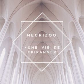 Download track Un Million D'Euro Negrizoo