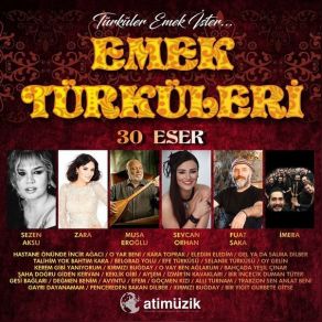 Download track Efem (Eğilmez Başım Gibi) Bilge Yılmaz Seziköz