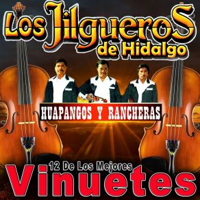 Download track Vamos A Neblinas Los Jilgueros De Hildalgo