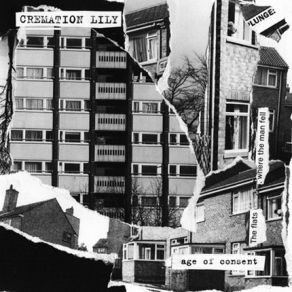 Download track Never Tell Cremation Lily