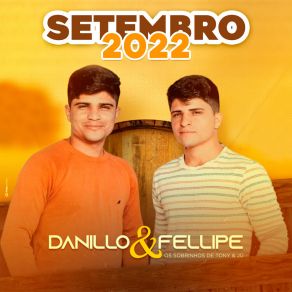 Download track Novas Publicações Danillo E Fellipe