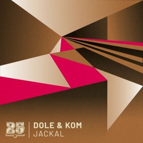 Download track Plot Hole Dole & Kom