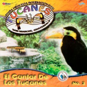 Download track Norteñas Tucaneras 4: Gavilán Perdido / Nunca Cambiarás / Ni Tuya Ni Mía / El Milagrito Marimba Orquesta Internacionales Tucanes De Guatemala