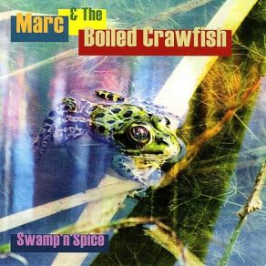 Download track Lower 9th District The Boiled Crawfish