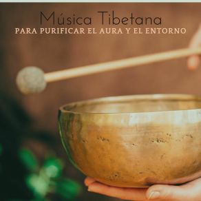 Download track Vibraciones De Paz Teresa Melodías Profundamente Relajante