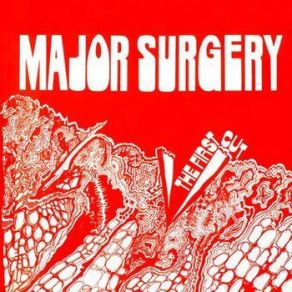 Download track Don't Wait For The Shrimpboat Mother - Father's Come Home With The Crabs Major Surgery