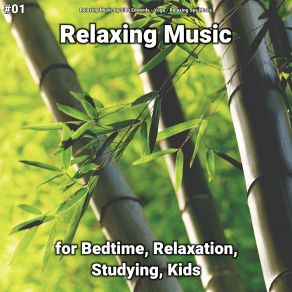 Download track Relaxing Music, Pt. 25 Relaxing Spa Music