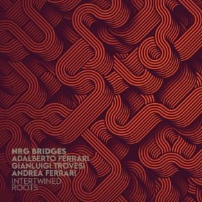 Download track Adagietto Bergomasco Gianluigi Trovesi, Adalberto Ferrari, Andrea Ferrari, NRG Bridges