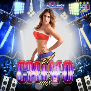 Download track Cochalita El Chivo Mix