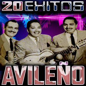 Download track La Cotorrita Avileño