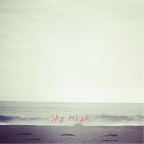 Download track Sky High Thomas Field