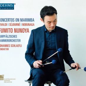 Download track Flautino Concerto In C Major, RV 443 (Arr. For Marimba & Orchestra): III. Allegro Molto Kurpfälzisches Kammerorchester Mannheim, Fumito Nunoya, Johannes Schlaefli
