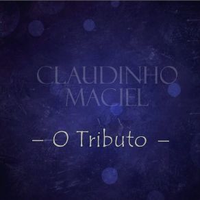 Download track Valeu A Pena Esperar (Ao Vivo) Claudinho Maciél