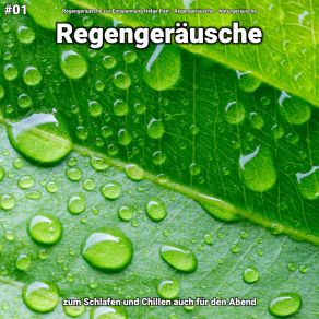 Download track Regengeräusche, Pt. 19 Naturgeräusche