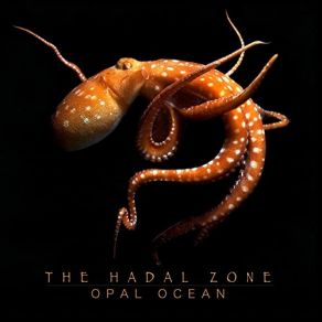 Download track Quantum Opal Ocean