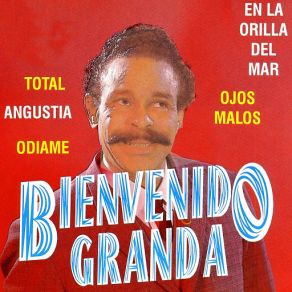 Download track En La Orilla Del Mar Bienvenido GrandaBievenido Granda