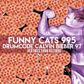 Download track Drumcode Calvin Bieber 97 (Short Attention Span Mix) Funny Cats 995