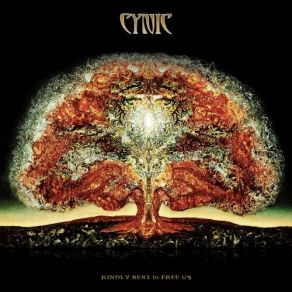 Download track True Hallucination Speak Cynic