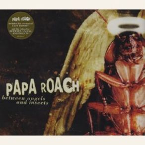 Download track Legacy (Non-Album Track) Papa Roach