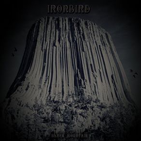 Download track Ironbird Ironbird