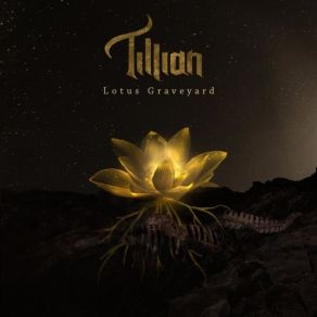 Download track Moonlight Dancer Tillian