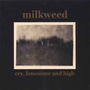 Download track China Milkweed