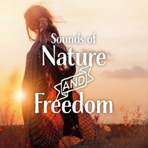 Download track Nature Noise SHAPE OFF