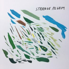 Download track Staring At The Sky Strange Pilgrim