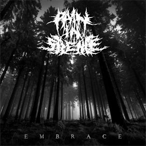 Download track Black Mass Pain In Silence