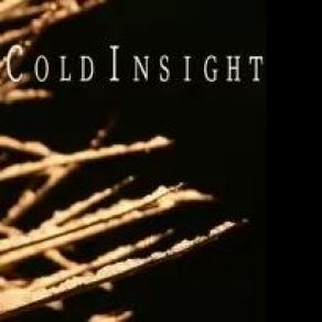 Download track Above (Demo Version) Cold Insight