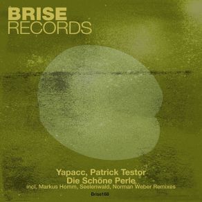 Download track Die Schöne Perle (Seelenwald Remix) Patrick TestorSeelenwald