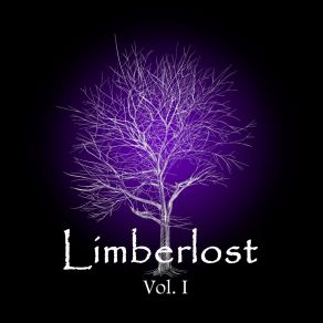 Download track Not My Own Limberlost