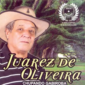 Download track Vagando Ao Léu Juarez De Oliveira