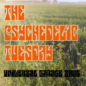 Download track Universal Garage (Song) The Psychedelic Tuesday