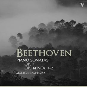 Download track Beethoven: Piano Sonata No. 4 In E-Flat Major, Op. 7 