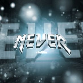 Download track Never (Sped Up) Rinkku