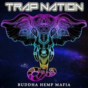 Download track Money On My Mind Trap Nation (US)