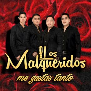 Download track PARA OLVIDARME DE TI Los Malqueridos