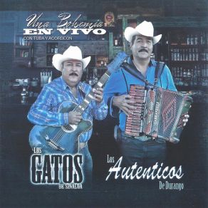 Download track El Mojado Sin Lisencia Los Gatos De Sinaloa