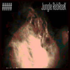 Download track Jungle RebReak (Original Version) Dope Your Baas