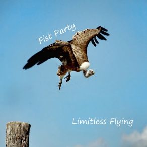 Download track Hart Time Limitless Flying