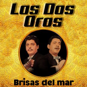 Download track Debajo De Los Laureles Los Dos Oros