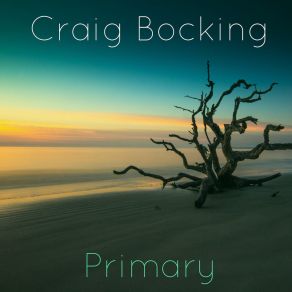 Download track Opportunistic Party Craig Bocking