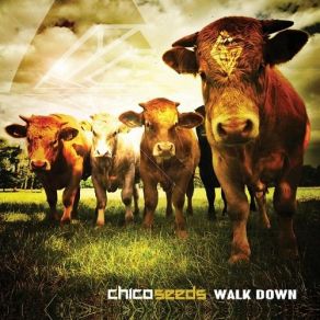 Download track Glorybox Chico Seeds