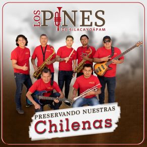 Download track El Quebrache Los Pines De Silacayoápam