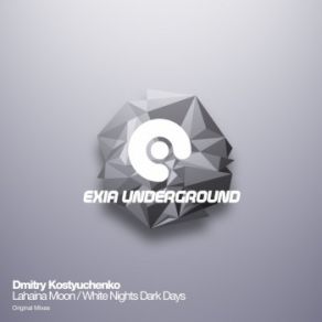 Download track White Nights Dark Days (Original Mix) Dmitry Kostyuchenko