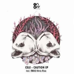 Download track Madhouse (Original Mix) Cele