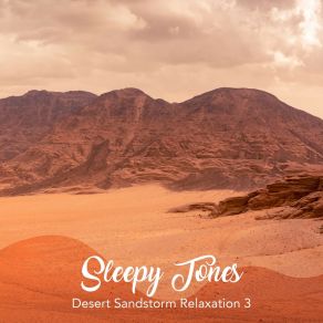 Download track Desert Sandstorm Relaxation, Pt. 19 Jason Rivers