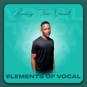 Download track Access BENNY THE VOCALShekesha Pantsula, Kid The Sound