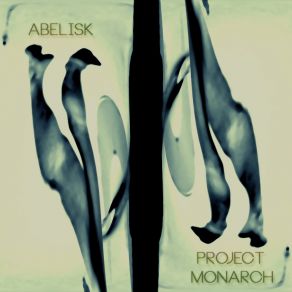 Download track Macro / Micro (A Lovely Place) The Obelisk